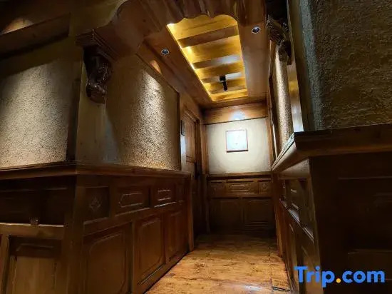 Kangding Yangcang Starry Sky Homestay (Tagongzhen Branch)