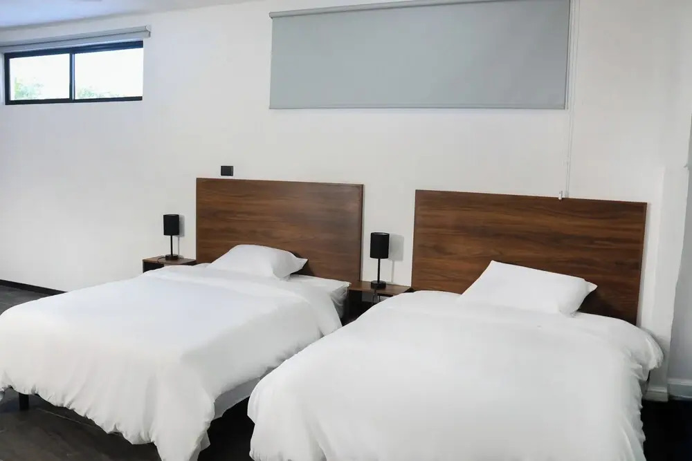 Apartamentos 31