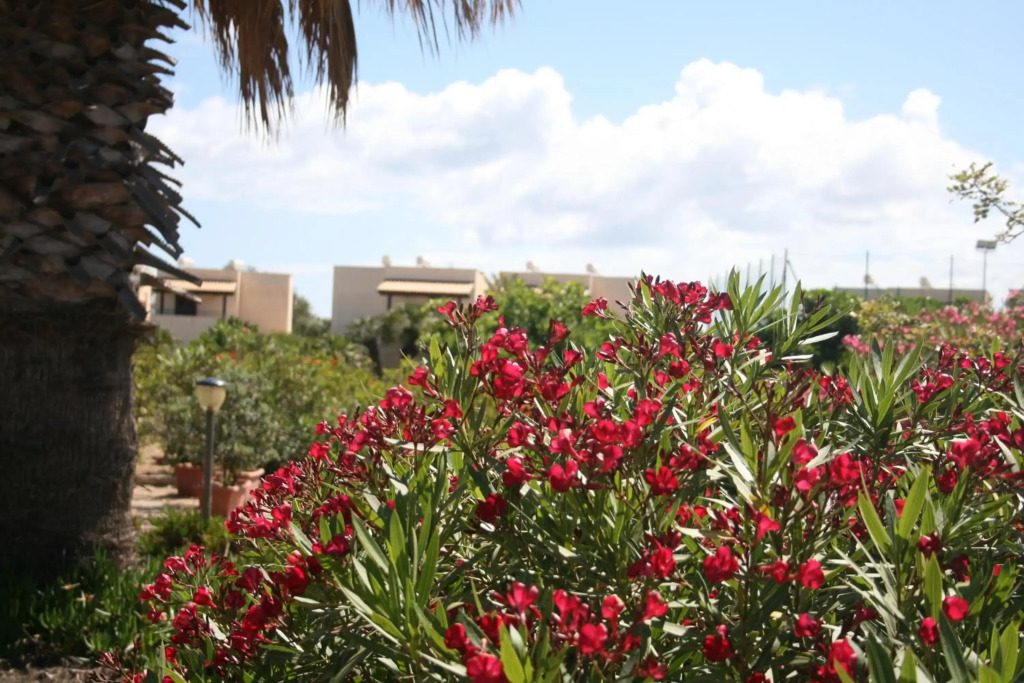 Residence Punta Longa