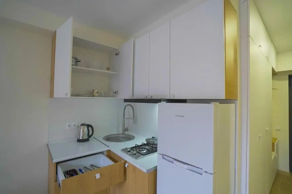 LEO GROUP Luxury Apartment 04-32 BAKURIANI INN