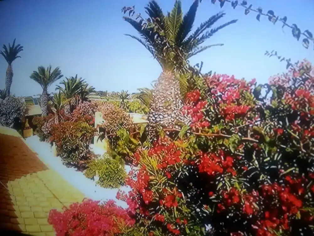 Studio in Marsala, With Shared Pool, Enclosed Garden and Wifi Near the Beach