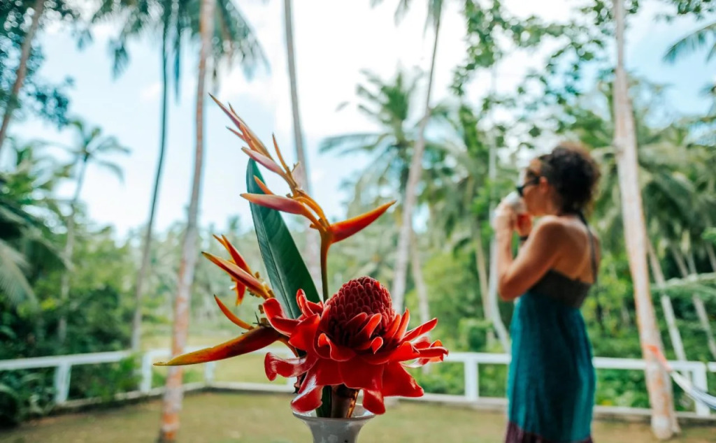 Villa Alexia