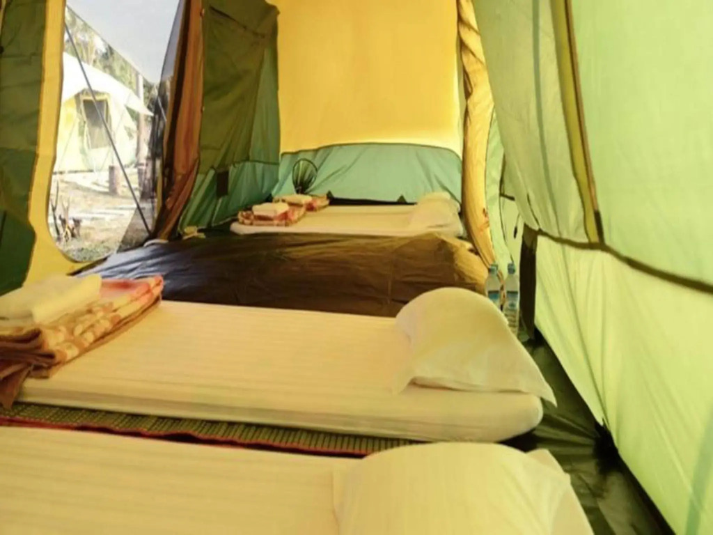 Ocean Front Campgrounds