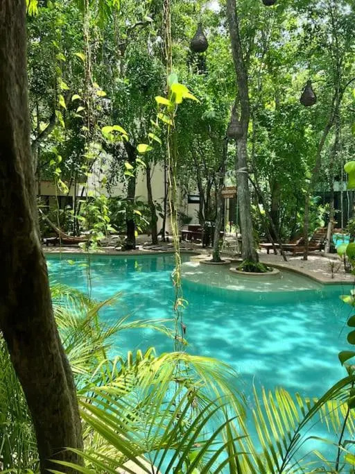 Jungle View 2bed 2bath Condo/ Wi-Fi/ Pool/ Gym
