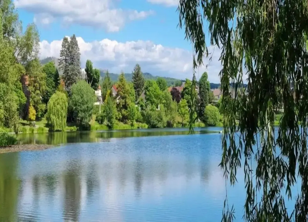 Harz-kurzurlaub in Lonau