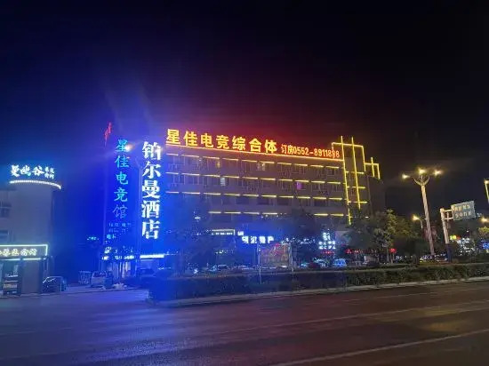 Pullman Hotel (Huaiyuan County Government Store)