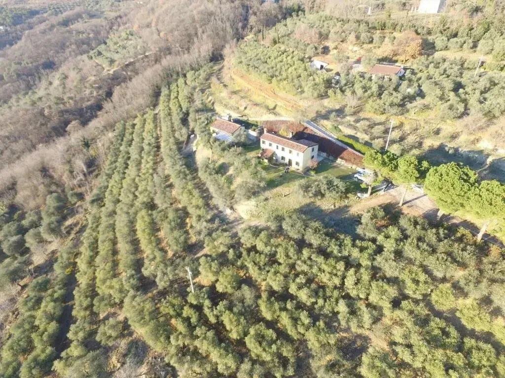 Holiday House Petrarca