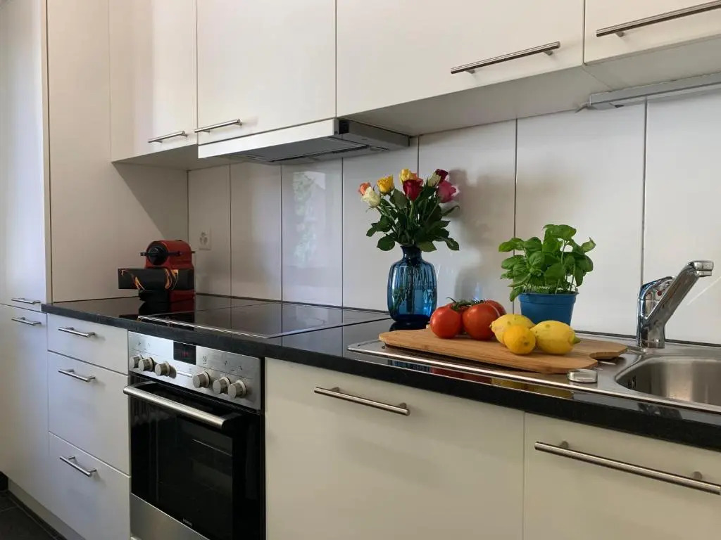Modern 2 bedroom apartment close to Zurich airport