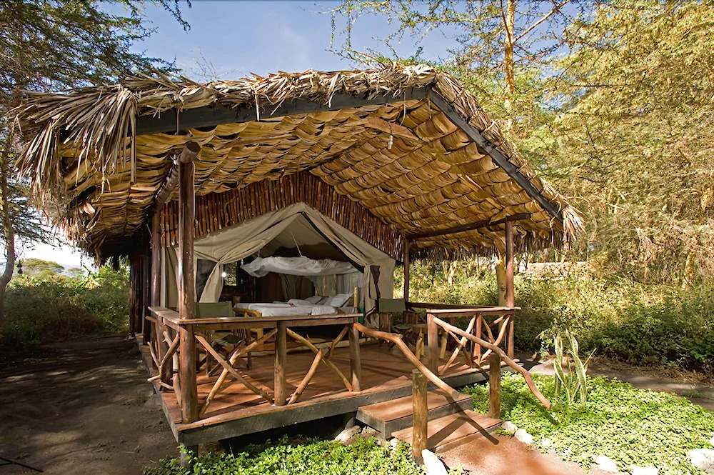 Migunga Forest Camp