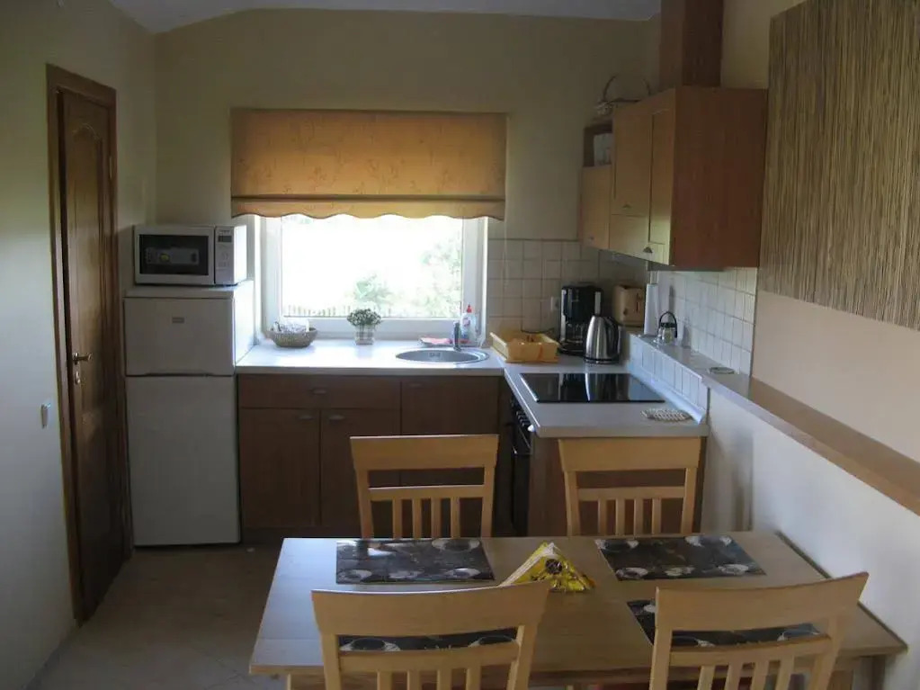 B Apartment in Vilnius