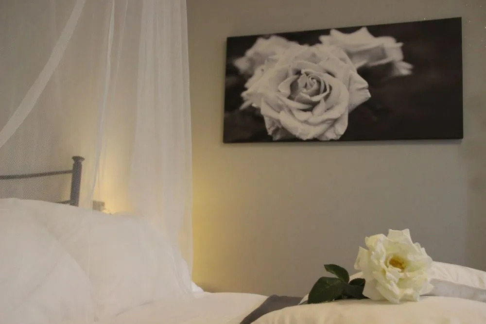 Villa Rosa B&B