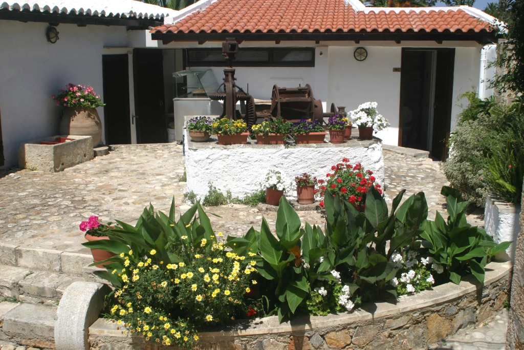 Oasis Guesthouse