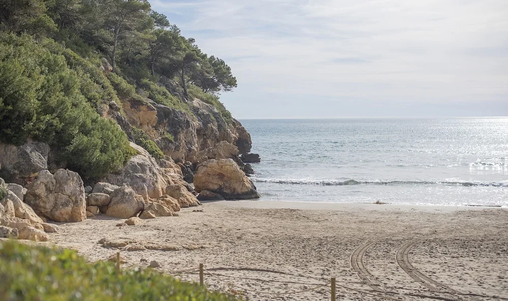 Apartamento Playa La Mora TVL 29