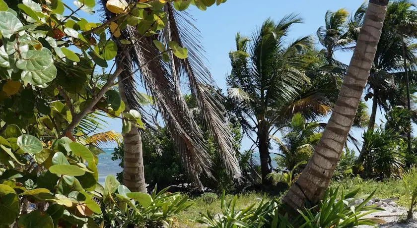 Siyaj-kin Camping