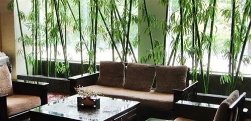Xiang Jiang Hotel - Zhangzhou