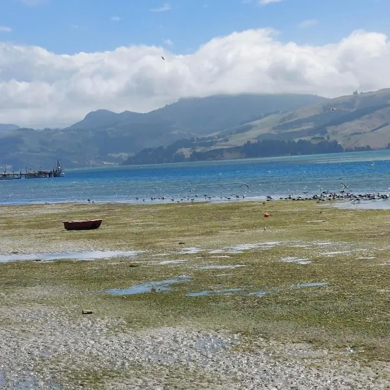 Otago Peninsula Paradise
