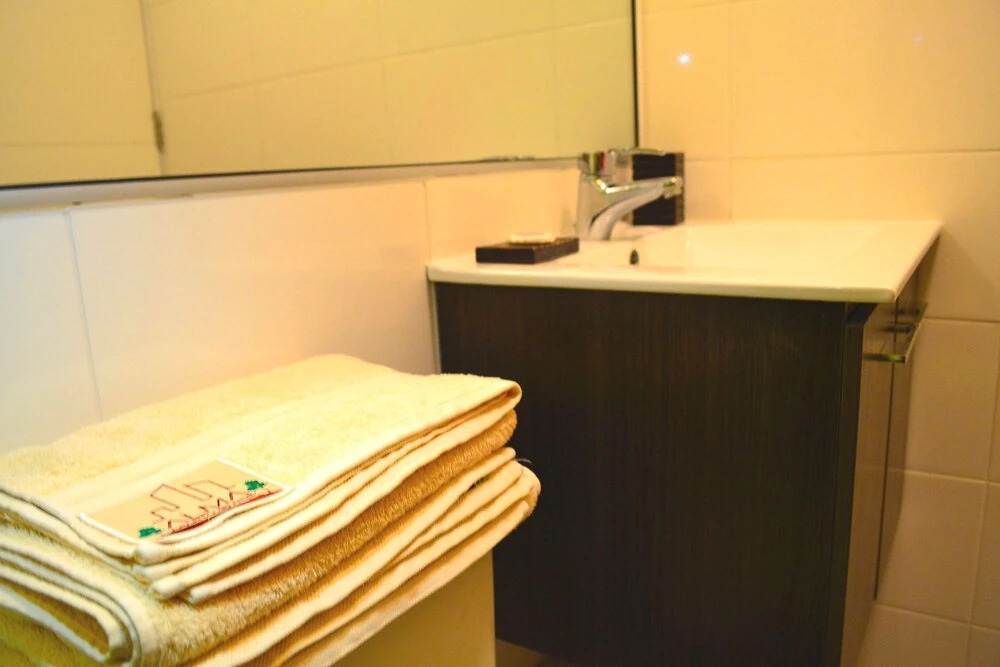 Apartamentos Alma Surire