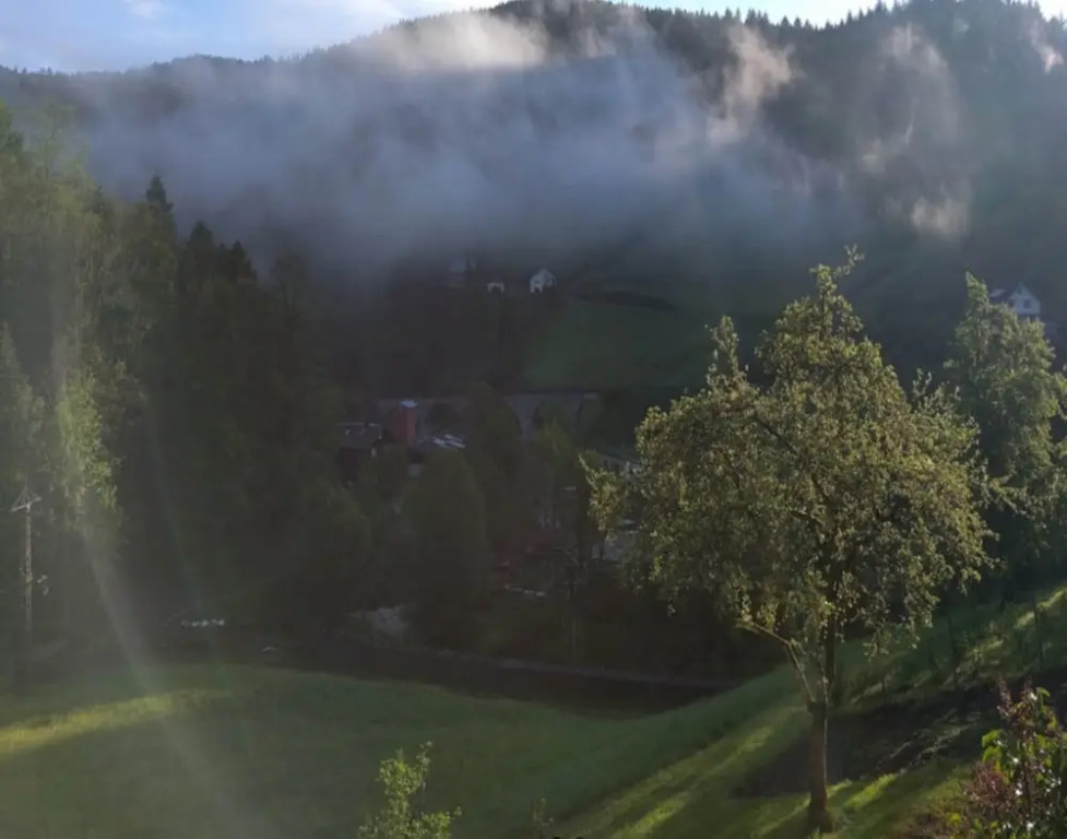Ferienwohnung mit Weinbergblick