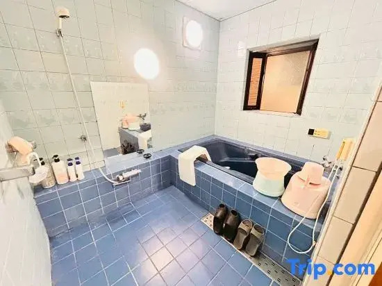 17 bed Osaka tengachaya city heights private house