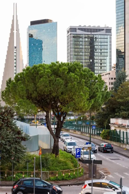 Amica geniale