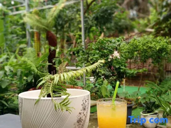 Homestay Golf & Coffee - Bi Phu Quoc