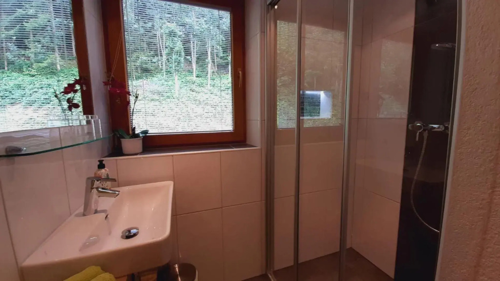 Appartement Zillertal Arena Zell am Ziller
