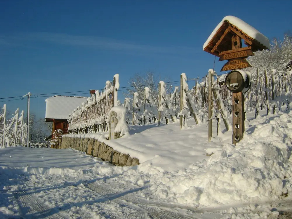 Vineyard cottage Med vinogradi