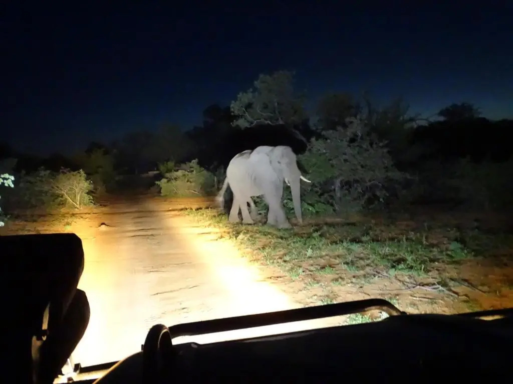 Ku Sungula Safari Lodge