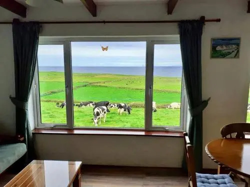 Doonbeg Holiday Homes