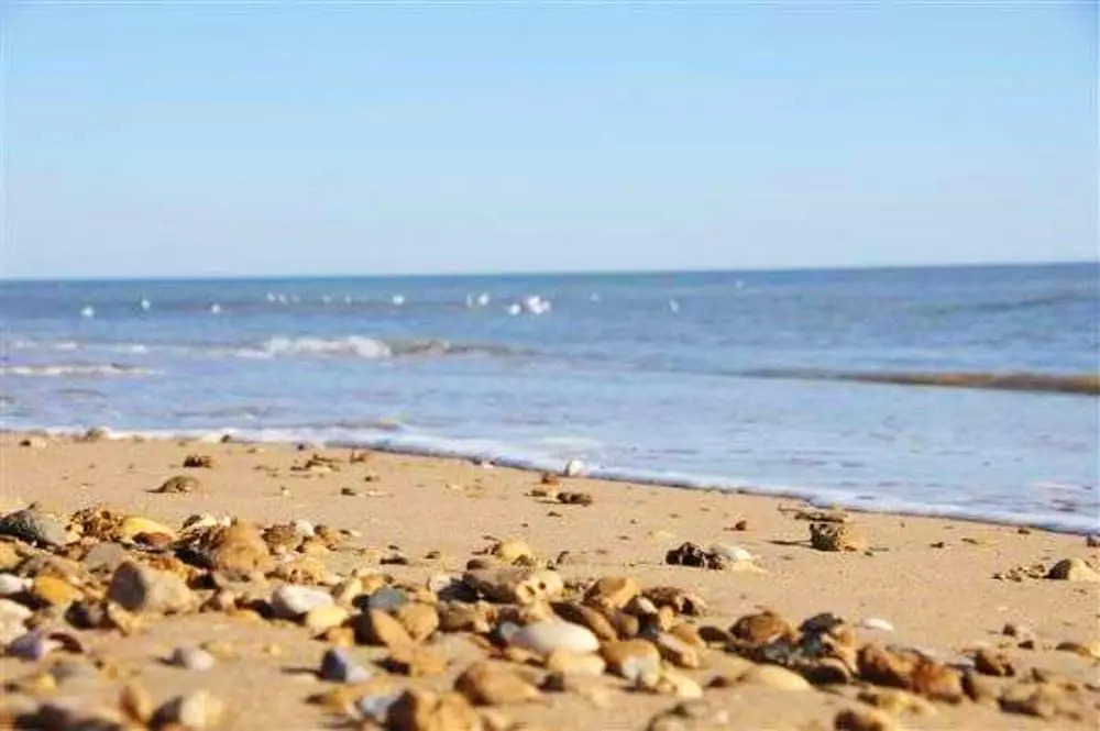 House With one Bedroom in Notre-dame-de-monts, With Wonderful City View, Furnished Terrace and Wifi - 800 m From the Beach