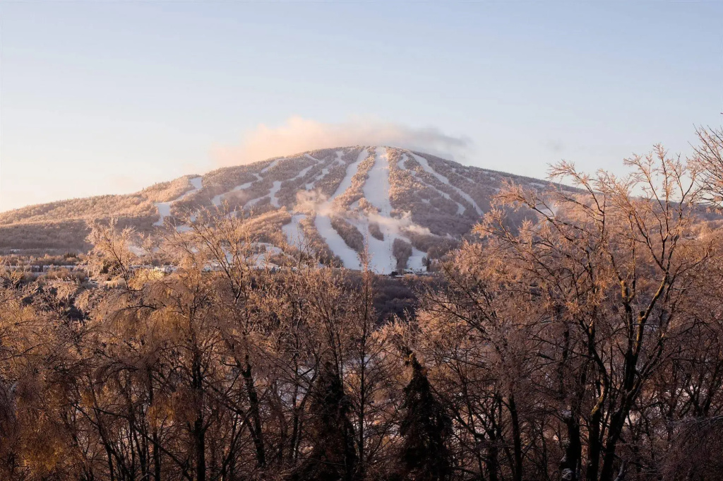 The Black Bear Lodge at Stratton Mountain Resort