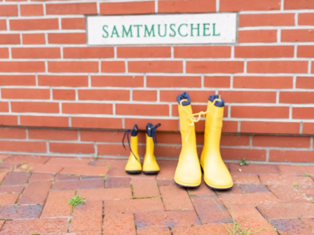 SAMTMUSCHEL