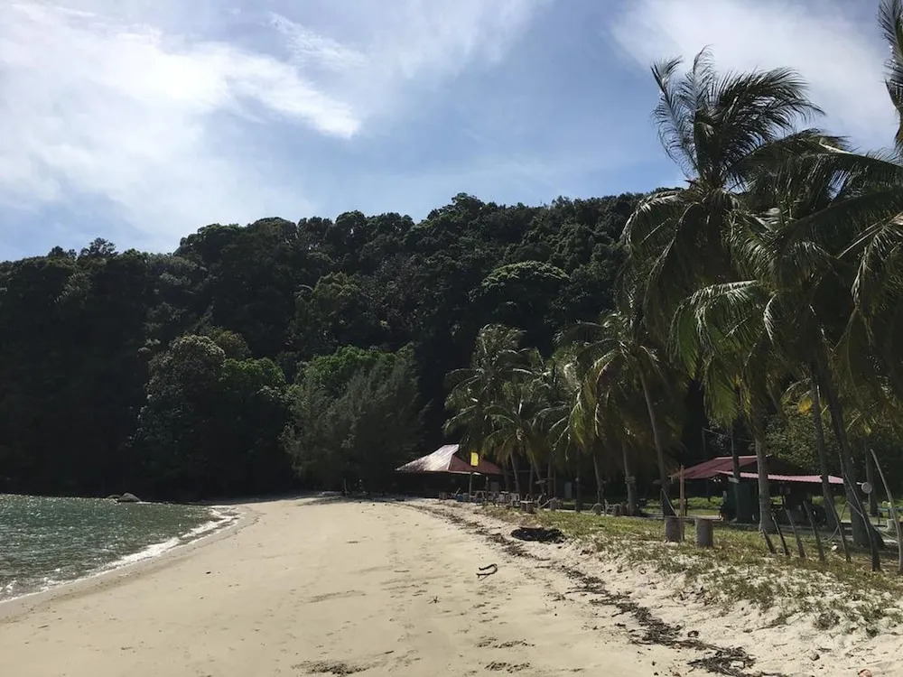 Wild Pasir Panjang