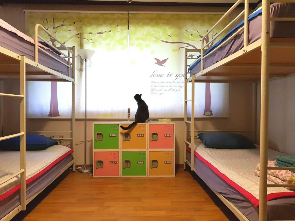 Oasis Guesthouse