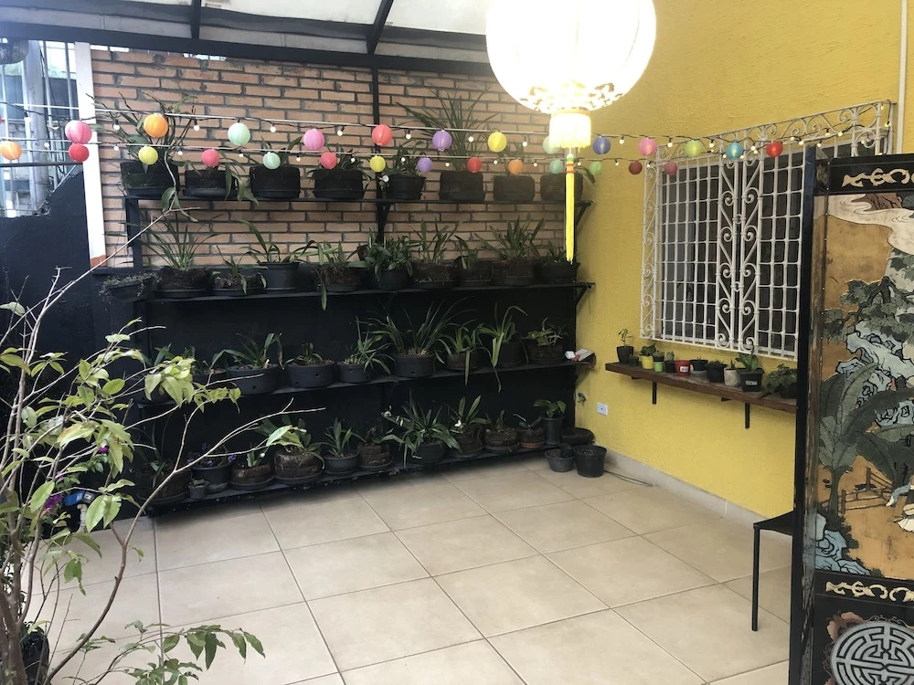 Hostel Ipê