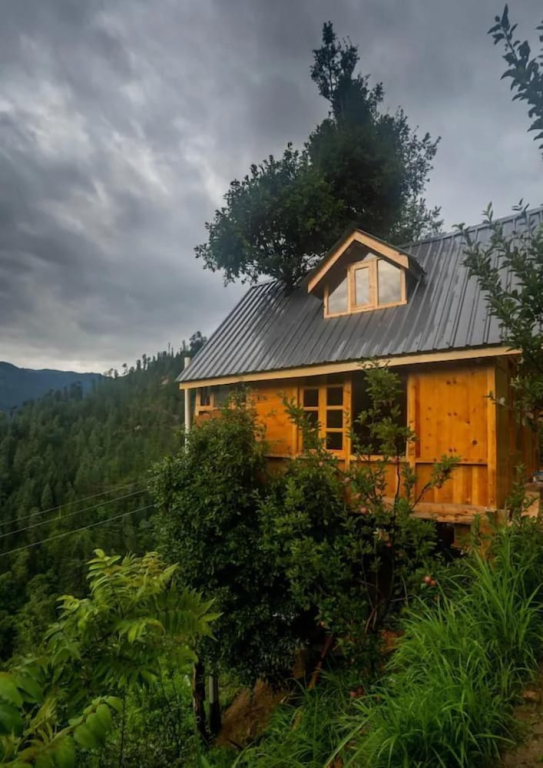 Swastika aashiyana tree house