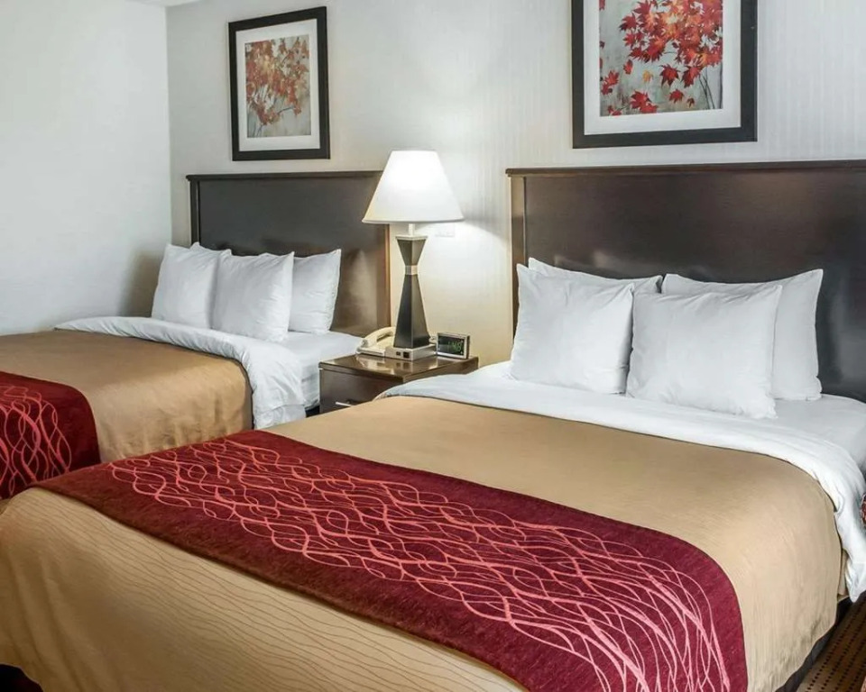 Comfort Inn Farmington
