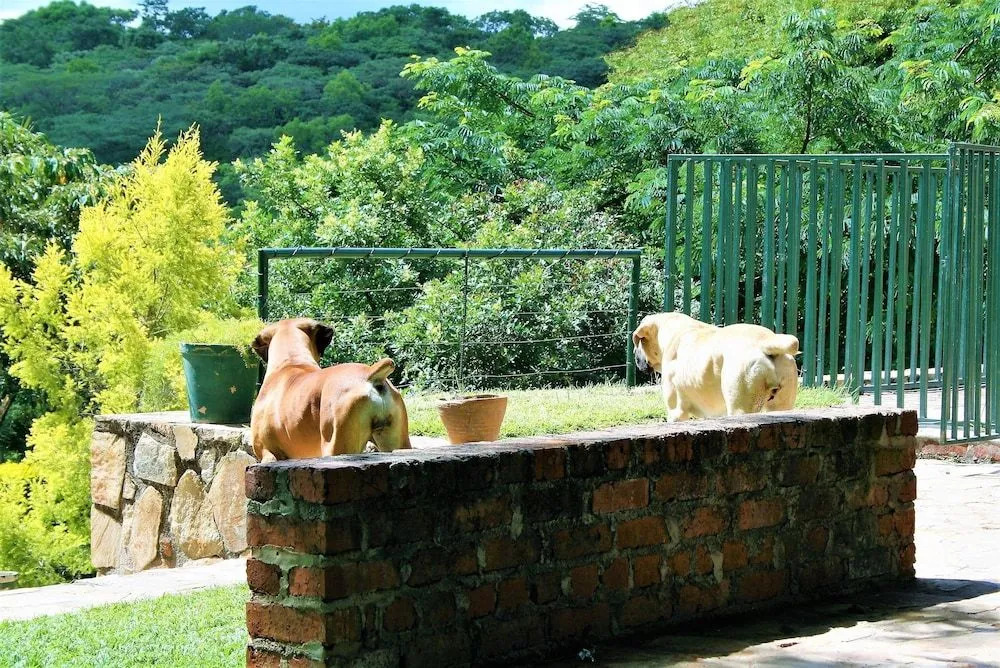 Blue Hills Guest House Christonbank