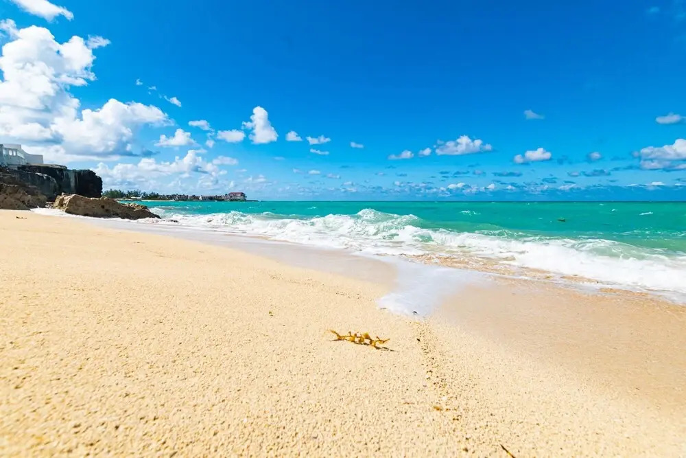 Caprice 9 Cable Beach Design Villa