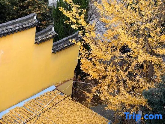 Zheman Kongmiao·Fuxueli Hotel（quzhou shop)