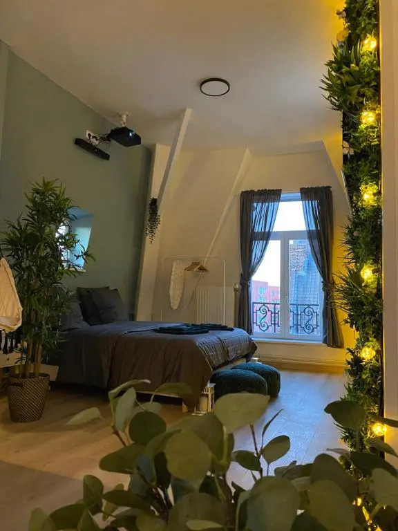 Zen - Roubaix-Lille - Balneo - Home Cinema - Billard