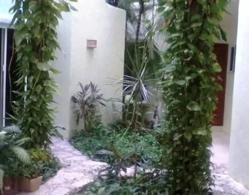Hotel Castillo Del Mar - 5 Th Ave