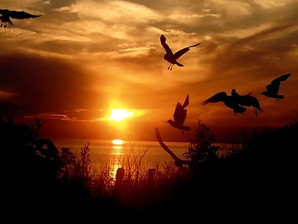 Sunset Guest House