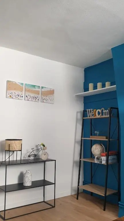 Bel appartement F2 centre ville