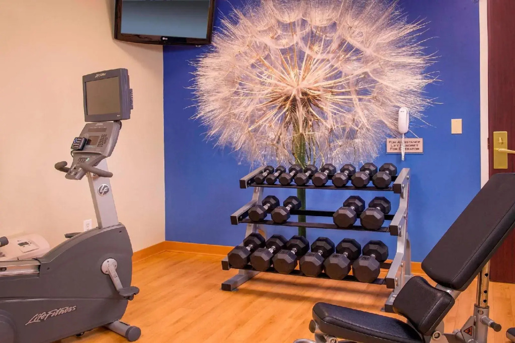 SpringHill Suites Raleigh-Durham Airport/Research Triangle Park