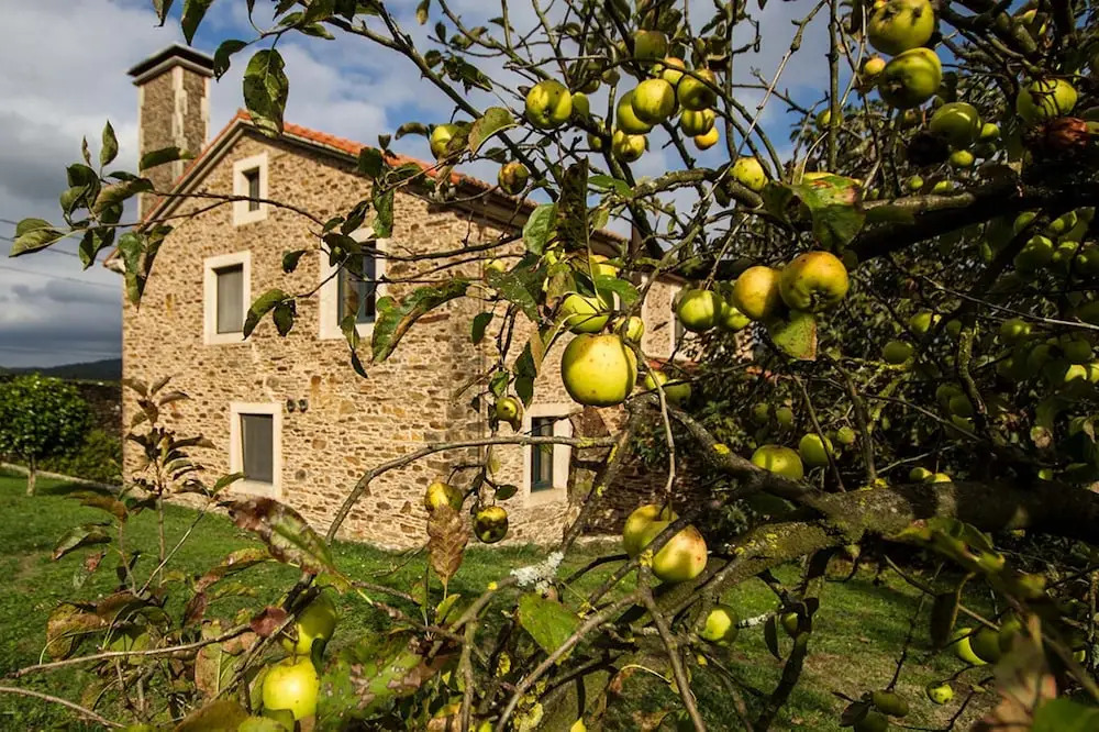 102713 House in Santiago de Compostela VR