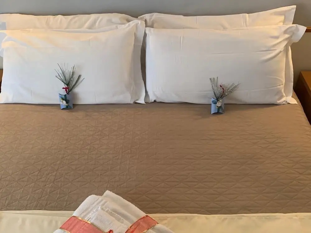 Hotel Venere