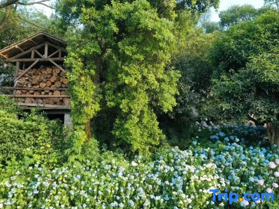 Nanlu Forest Resort Hotel (Chongqing Nanshan Scenic Area Branch)