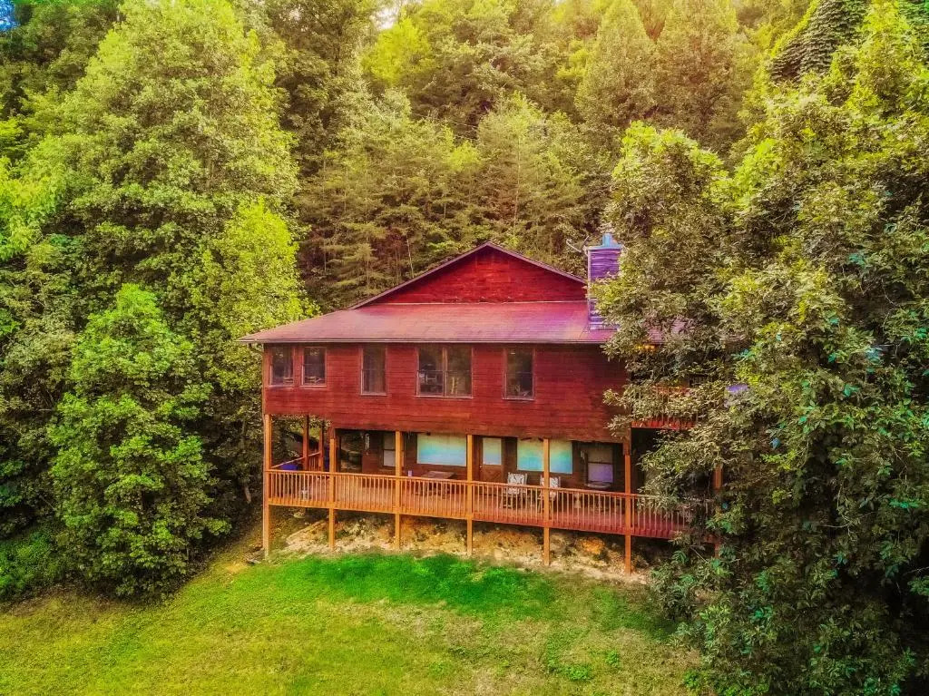 The Nuthouse II