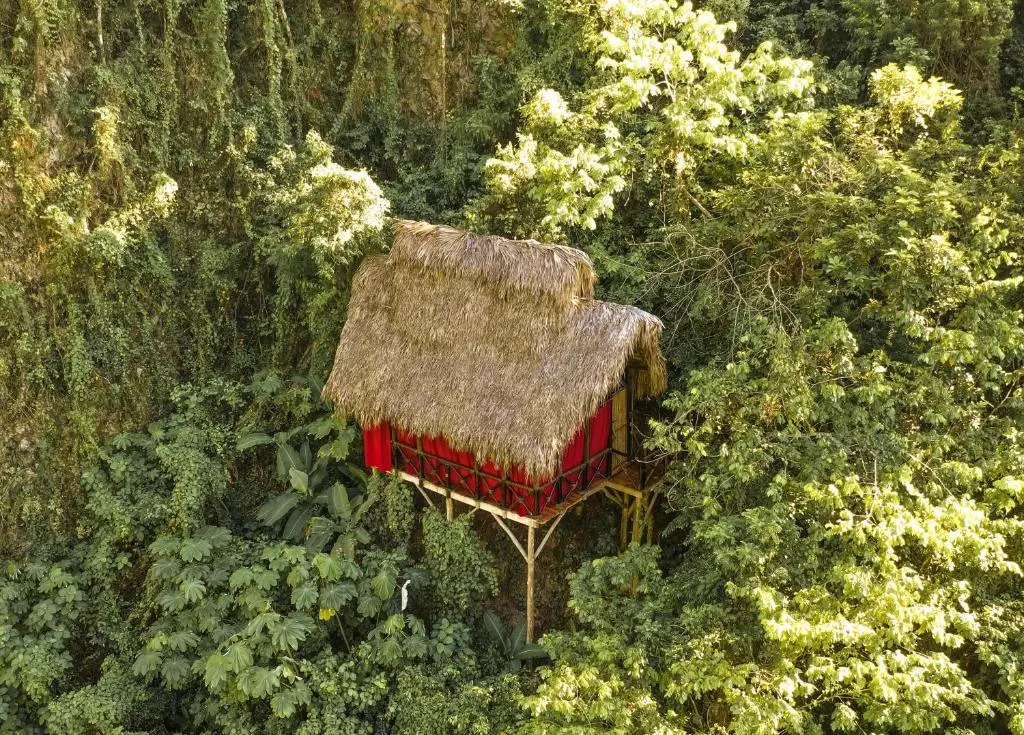 Dominican Tree House Village